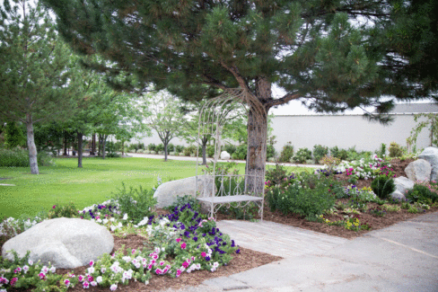 Garden-Walkway