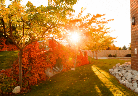 Gardens