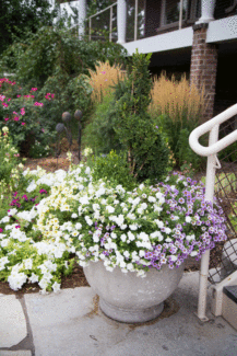Gardens2