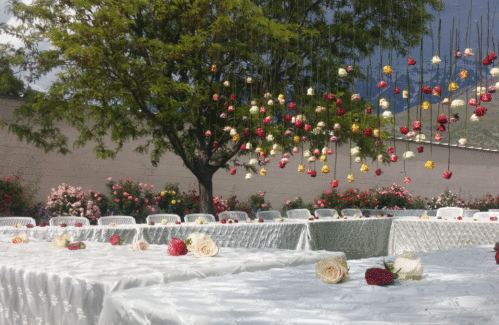 Outdoor-Dining-Tables
