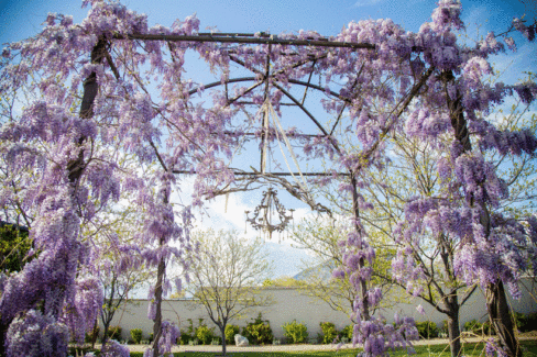 Purple-Garden-Alter