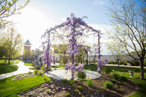 Purple-Garend-Frame2