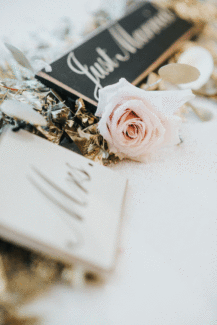 Rose-Display