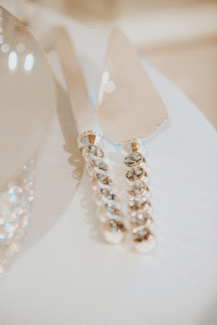 Silver-Cake-Utensils